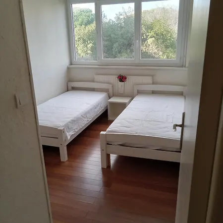 Avec Vue A אנטיב