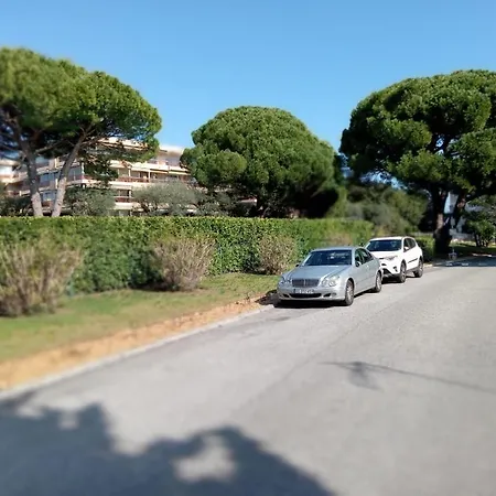 Avec Vue A Apartmán