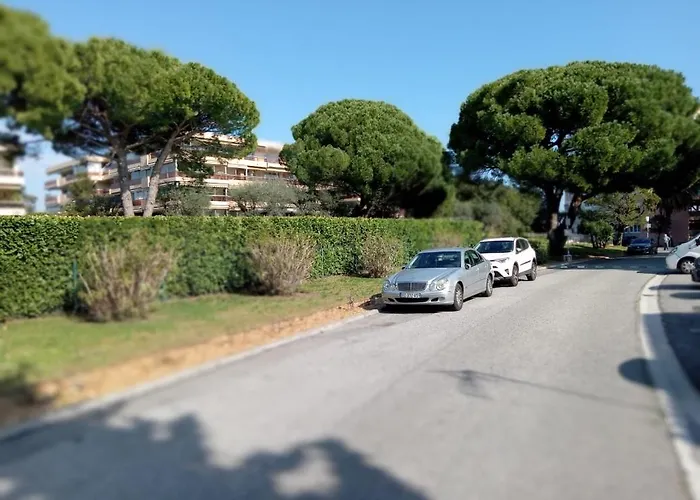 Avec Vue A Apartment